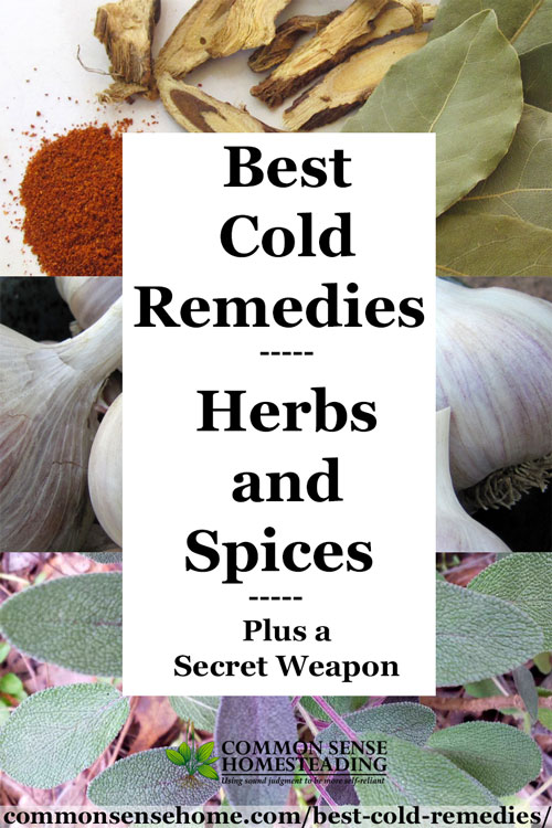 Best Cold Remedies Herbs And Spices Plus A Secret Weapon