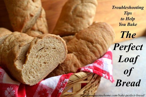 Troubleshooting Tips to Help You Bake the Perfect Loaf of Bread