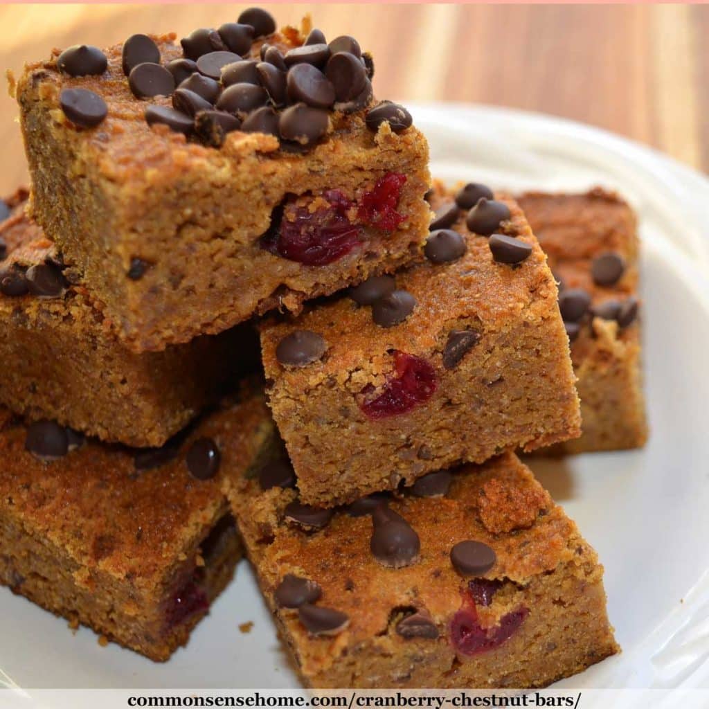 cranberry chestnut bars