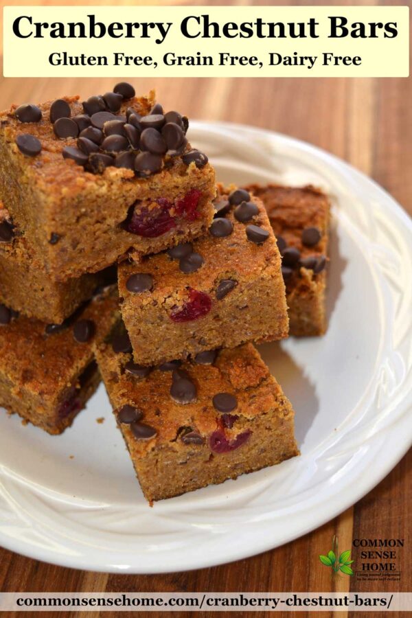 cranberry chestnut bars