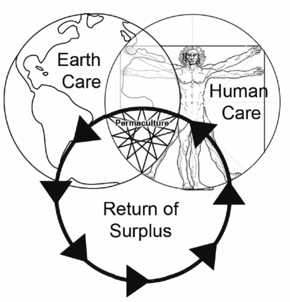 In a permaculture system, each part supports the other, creating energy instead of consuming.