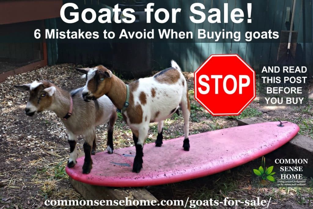 Goats on board