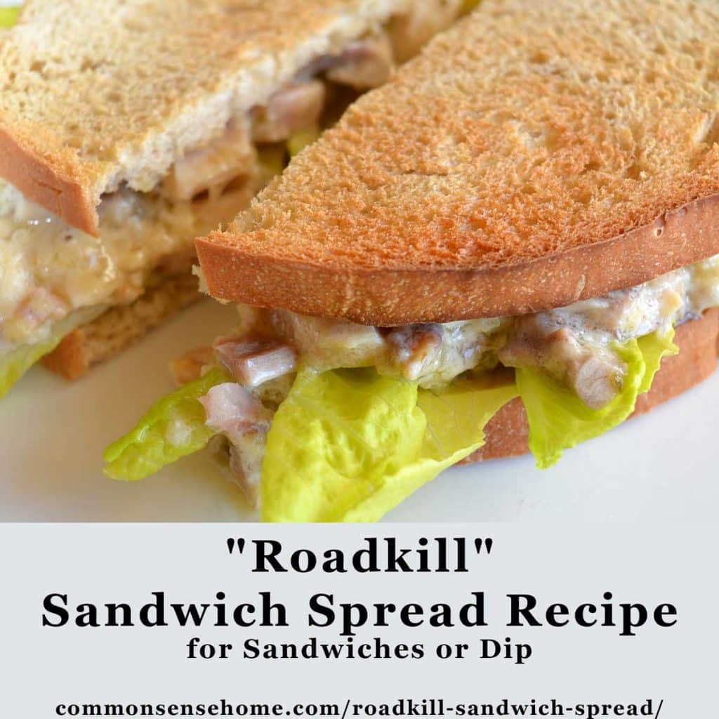 “Roadkill” Sandwich Spread Recipe for Sandwiches or Dip Total Survival