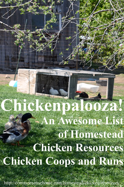 Chickenpalooza! An Awesome List of Homestead Chicken Resources - Recommended books, equipment and links to over 60 homestead chicken posts on the web covering everything from chicks to chicken diapers.