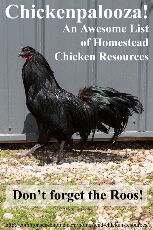 Chickenpalooza! An Awesome List of Homestead Chicken Resources - Recommended books, equipment and links to over 60 homestead chicken posts on the web covering everything from chicks to chicken diapers.