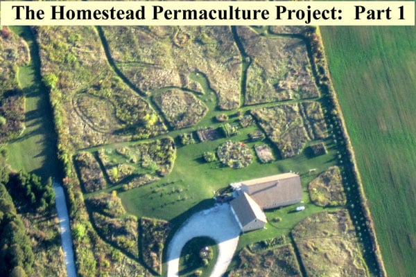 The Common Sense Homestead Permaculture Project - Part 1 - Site Overview