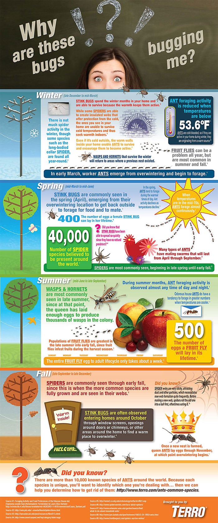 How to Get Rid of Ants Naturally - 3 Ways to Control Ants Without Poisons, Inside and Outside - PLUS - reasons why your home may be getting invaded by bugs.