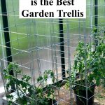Learn how the Vine Spine™ Garden Trellis can make your vertical gardening easier with long lasting, American made quality and 5 different shapes in one trellis.