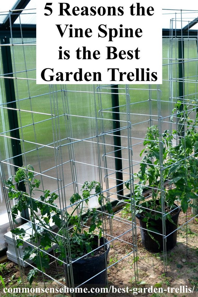 5 Reasons the Vine Spine is the Best Garden Trellis