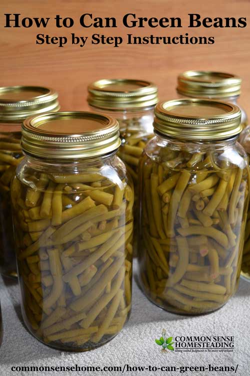 How To Can Green Beans Step By Step Instructions For Canning Green Beans