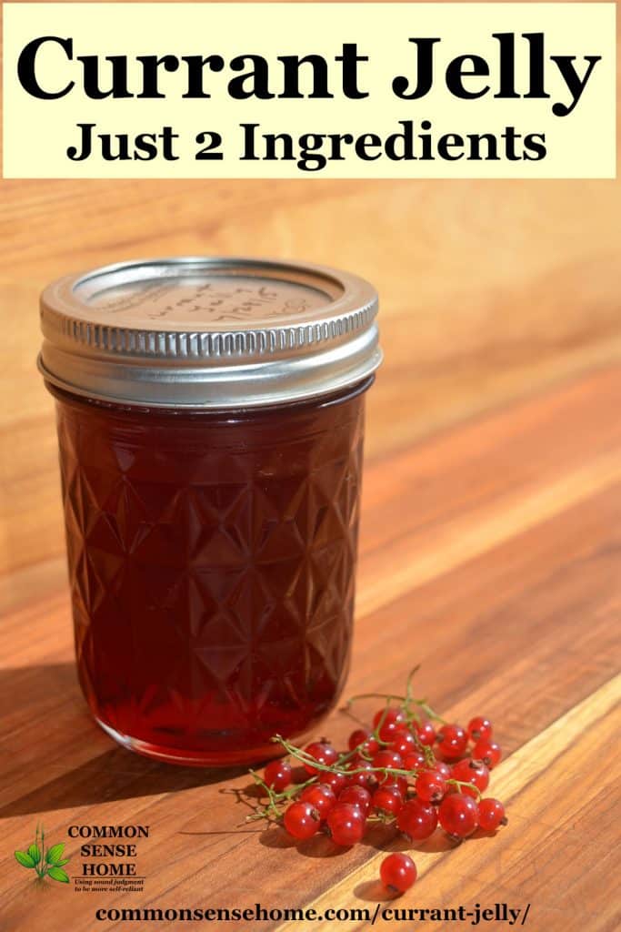 red currant jelly in jar with currants