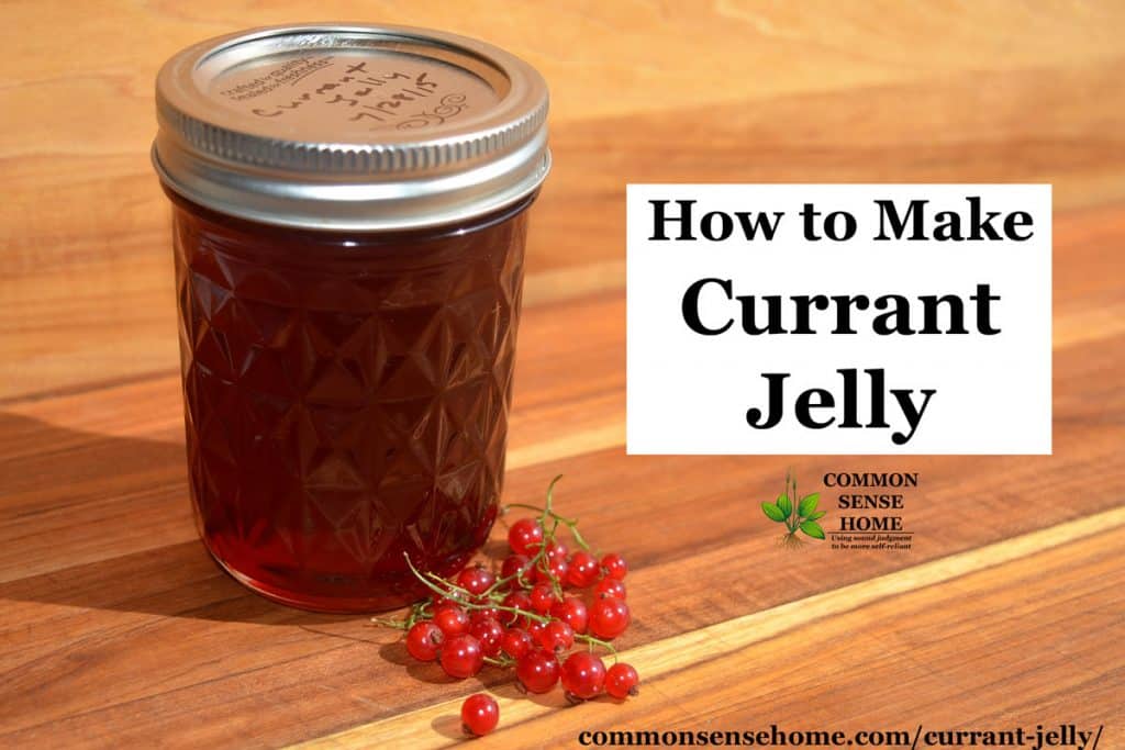 easy-red-currant-jelly-recipe