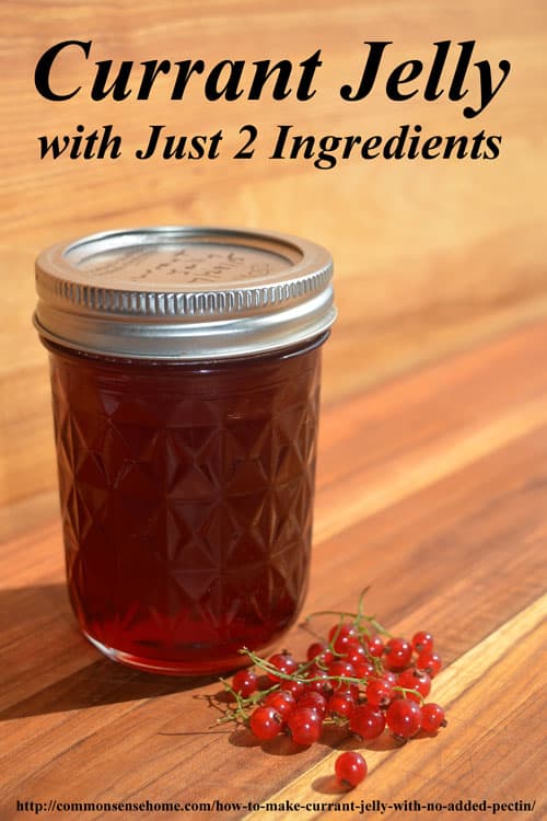 How to Make Currant Jelly with No Added Pectin. This easy homemade jelly recipe has just two ingredients and is perfect for beginning home canners.