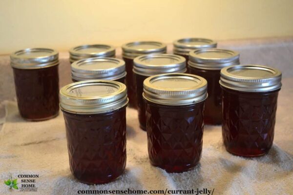 Currant Jelly Recipe - Easy to Make Red Currant Jelly with No Added Pectin