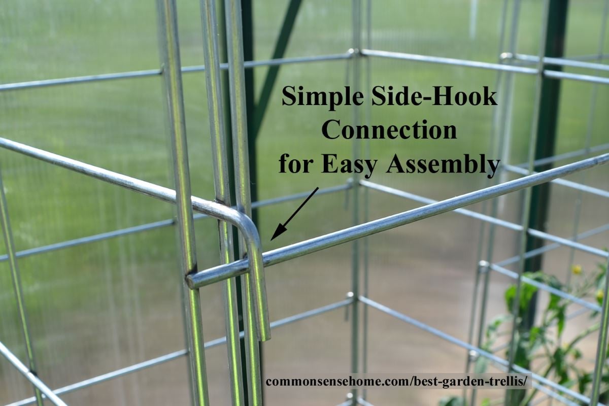 Trellis side hook close-up