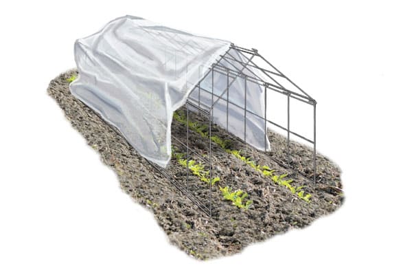 Vine Spine greenhouse illustration