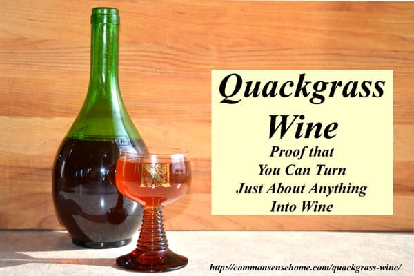 Quackgrass wine - Proof that you can turn just about anything into wine. Another interesting addition to the weed wine pantry for the adventurous fermenter.