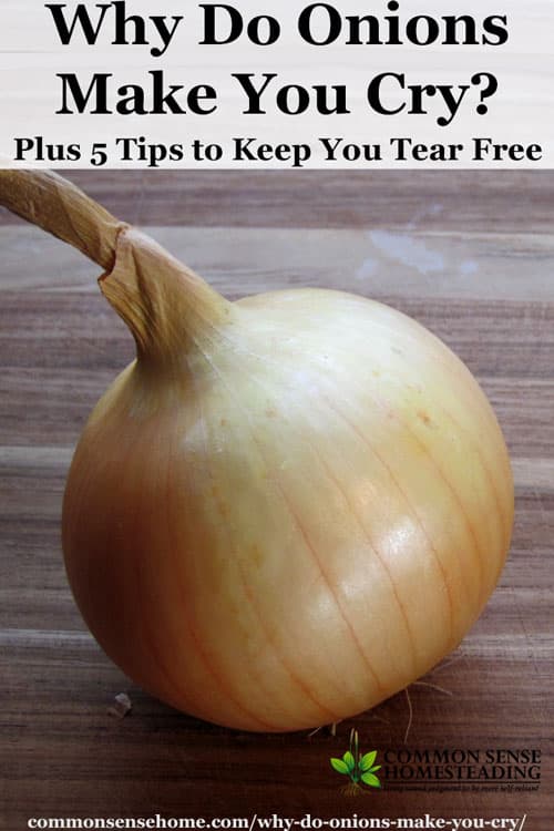 Learn why onions make you cry, health benefits of onions, plus 5 tips to keep you tear free while cutting or chopping onions.