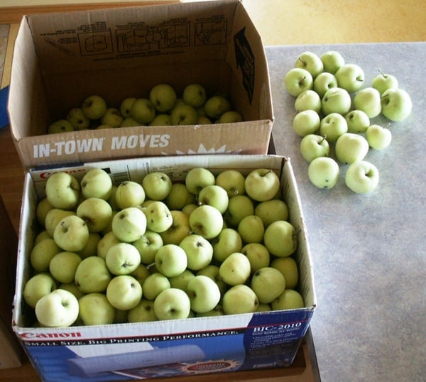 Box of apples