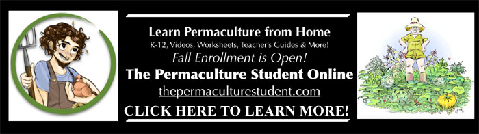 Enroll in the Permaculture Student Online Self Reliance Course