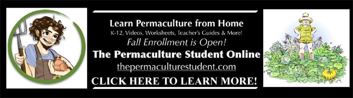 Enroll in the Permaculture Student Online Self Reliance Course