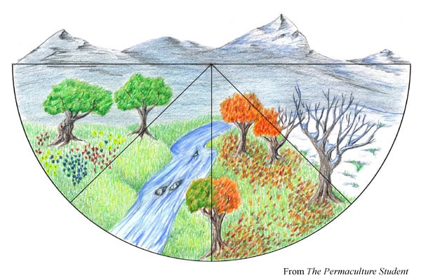 The Permaculture Student Online Self Reliance Course by Matt Powers. Learn Permaculture Design, Seed to Table Cooking, Seed Saving, Food Preservation & Storage.