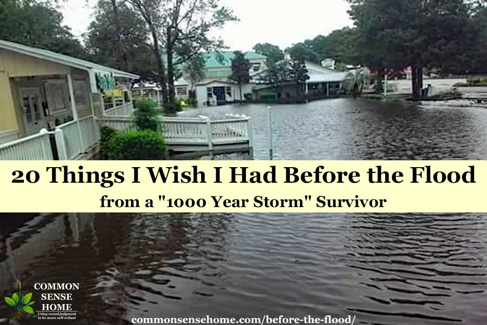 flooded homes and street with text overlay "20 things i wish I had before the flood"