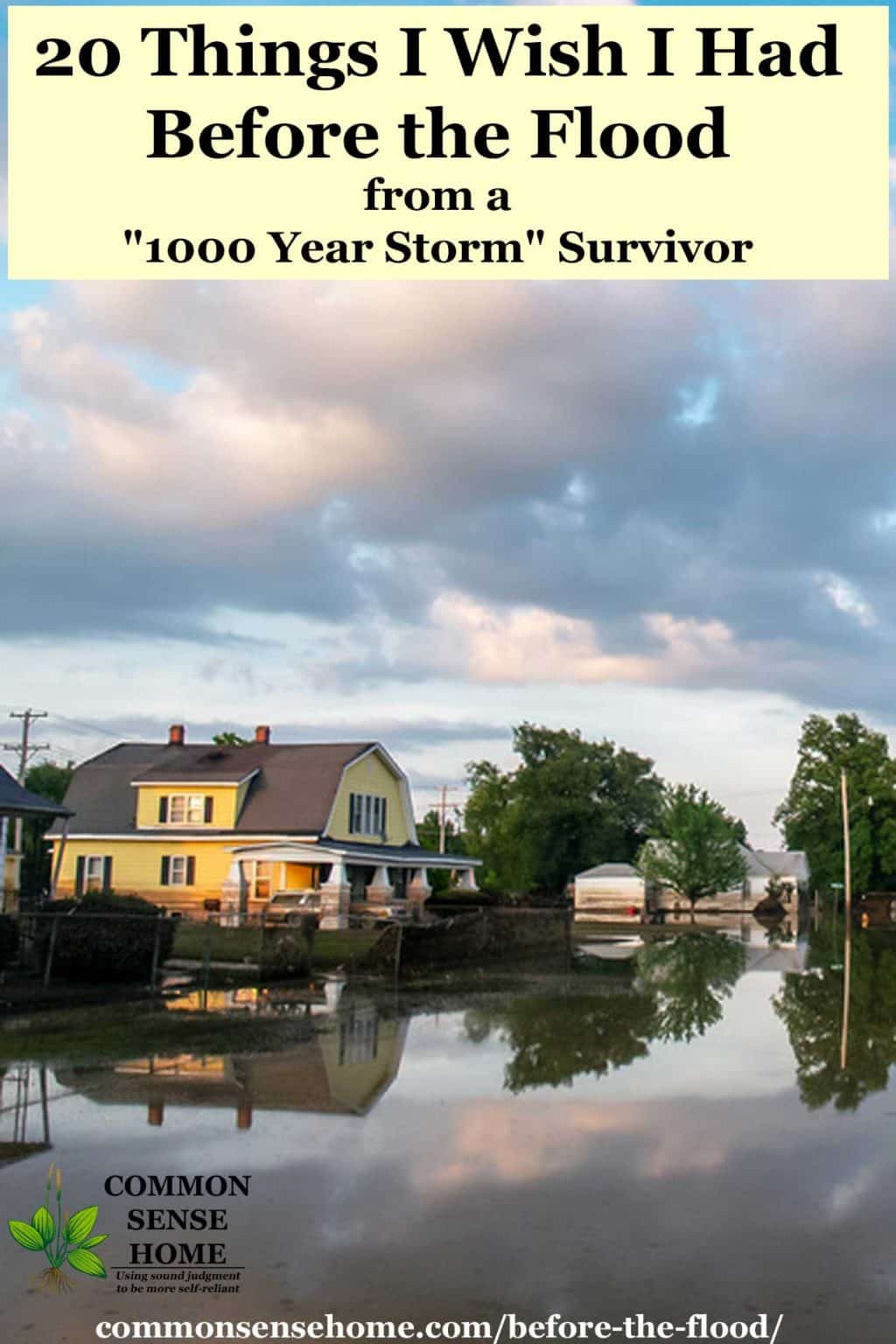 flooded street and homes