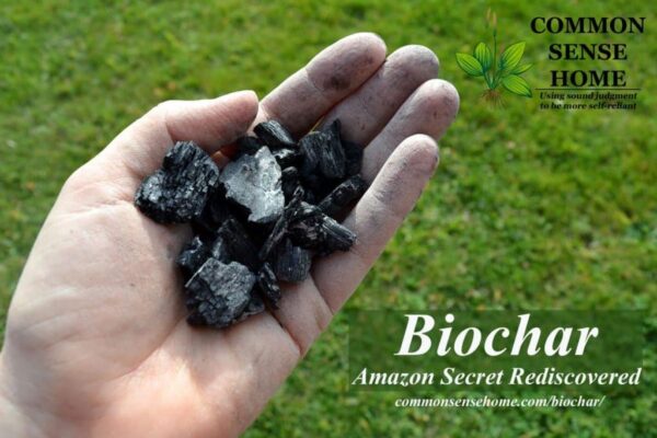 Biochar - Amazon Secret Rediscovered
