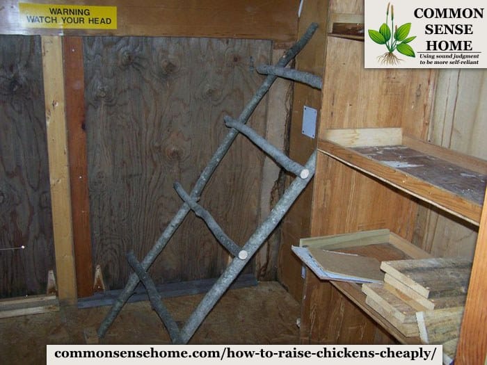 chicken coop interior