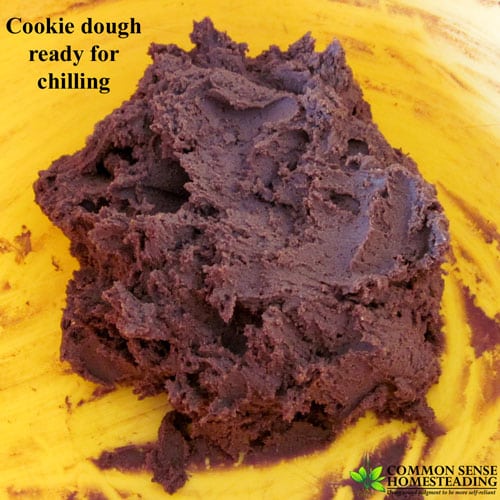 Homemade chocolate mint cookies - serve them as a mint chocolate sandwich cookie, or skip the filling and dip them in melted chocolate for decadent treat.