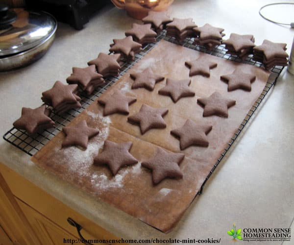 Homemade chocolate mint cookies - serve them as a mint chocolate sandwich cookie, or skip the filling and dip them in melted chocolate for decadent treat.