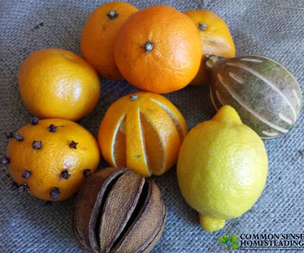 Turn citrus peels into a fun array of homemade citrus gifts! From candles to cleaners to luxurious body scrubs - you may never throw out a citrus peel again.