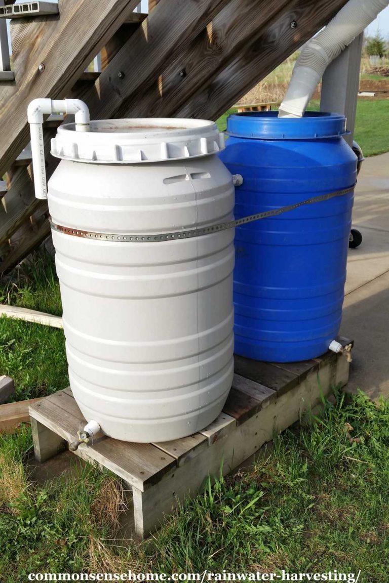 Rainwater Harvesting Guide Rain Barrels, Maintenance and More