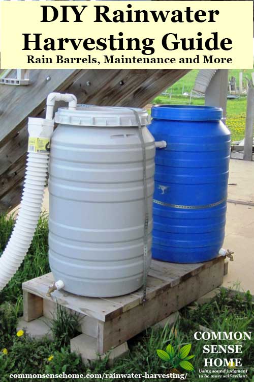 two rain barrels for rainwater collection