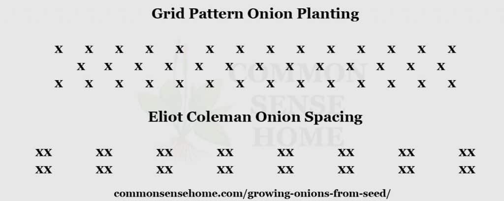 Onion spacing chart