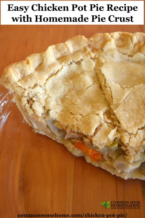 Easy Chicken Pot Pie Recipe with Homemade Pie Crust ...