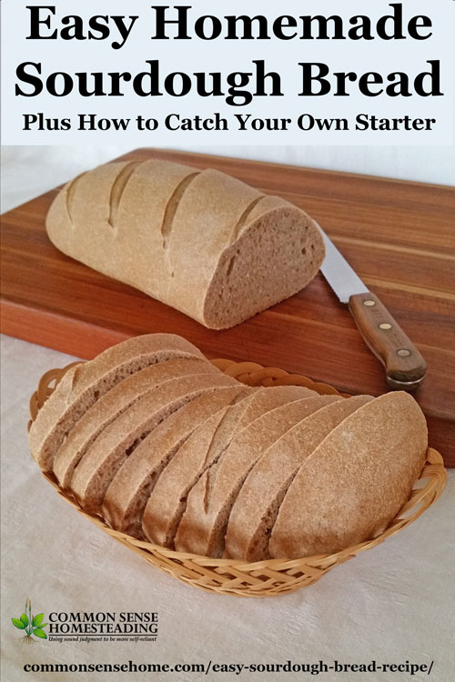 Make this easy sourdough bread recipe from scratch with starter, flour, water and salt. Use your own sourdough starter or buy sourdough starter for baking.