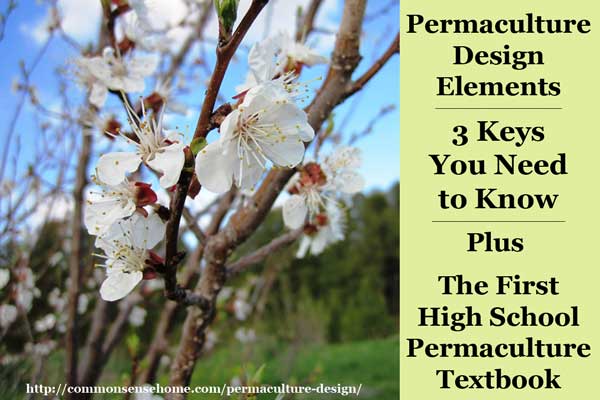 Permaculture Design Elements – 3 Keys You Need to Know