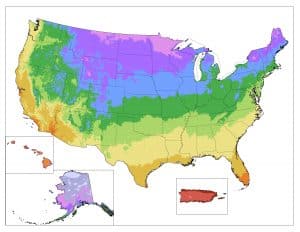 Carte des zones de rusticité de l'USDA