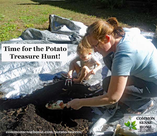 mother and child harvesting potatoes from potato tower