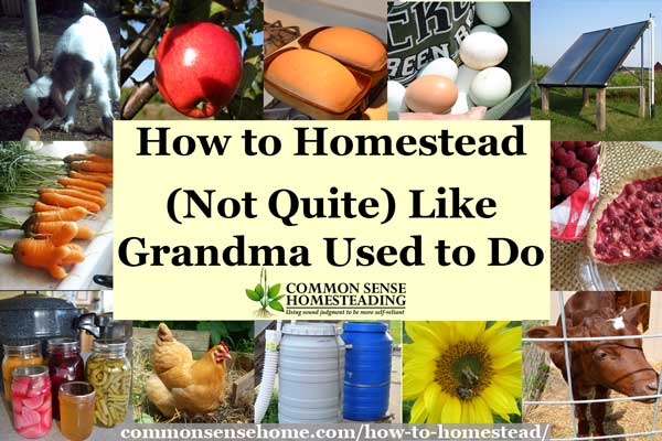 How to Homestead – (Not Quite) Like Grandma Used to Do