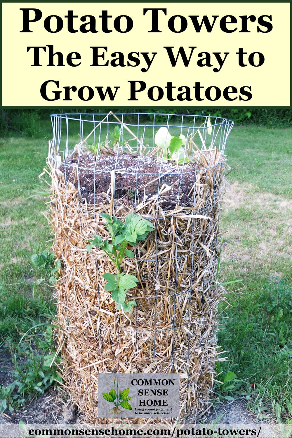 potato tower with straw