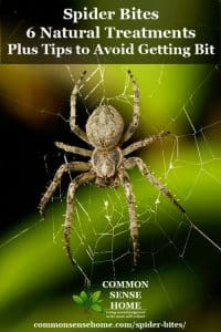 Spider Bites - 6 Natural Treatments + Tips to Avoid Getting Bit