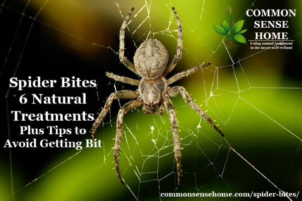Spider Bites – 6 Natural Treatments + Tips to Avoid Getting Bit