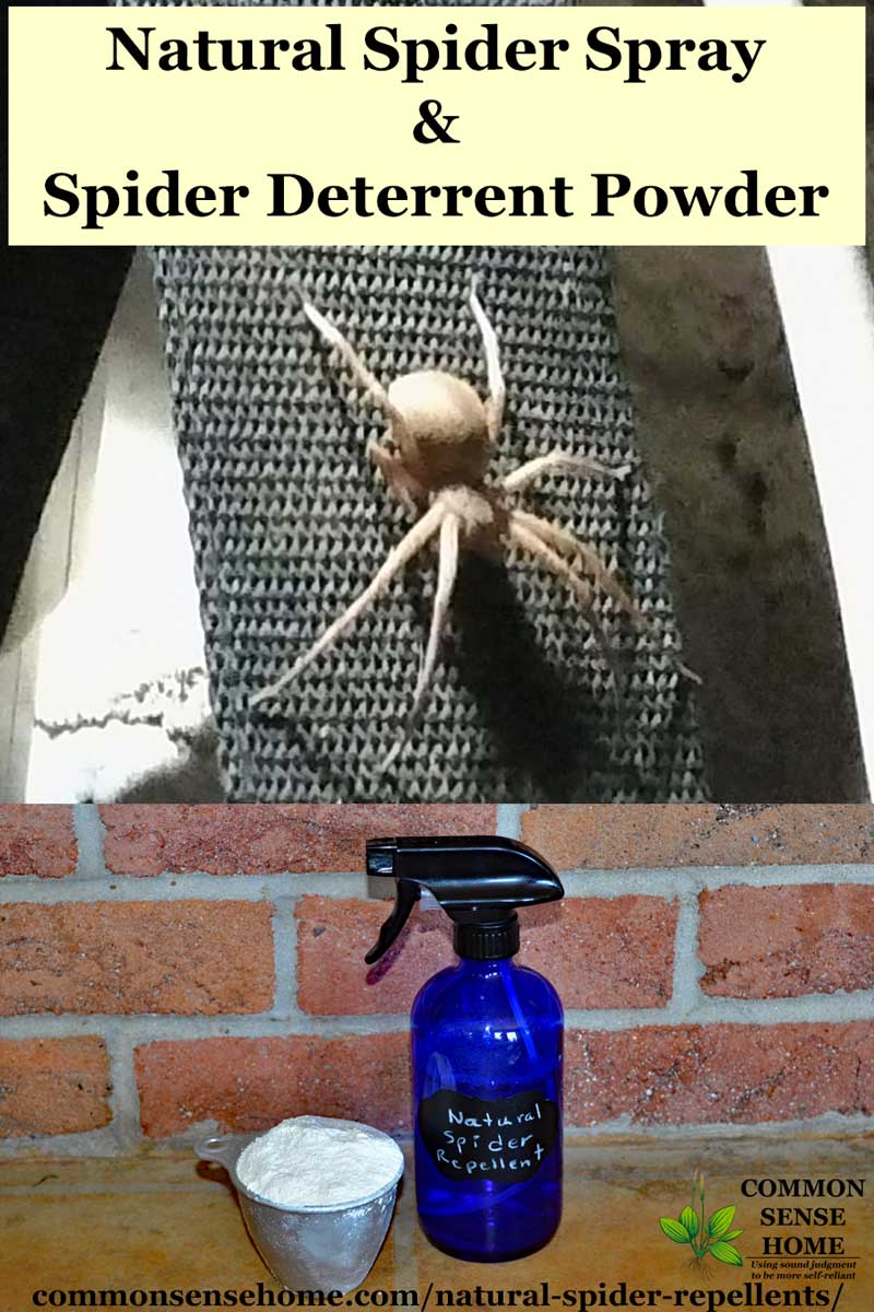 Spray to store repel spiders