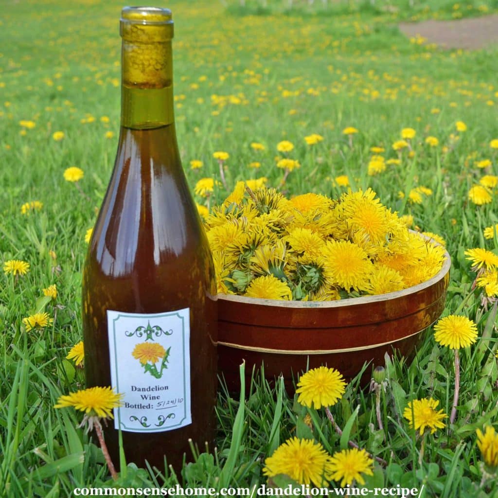 Bottle of homemade dandelion wine next to bowl of dandelion flowers in field of dandelions