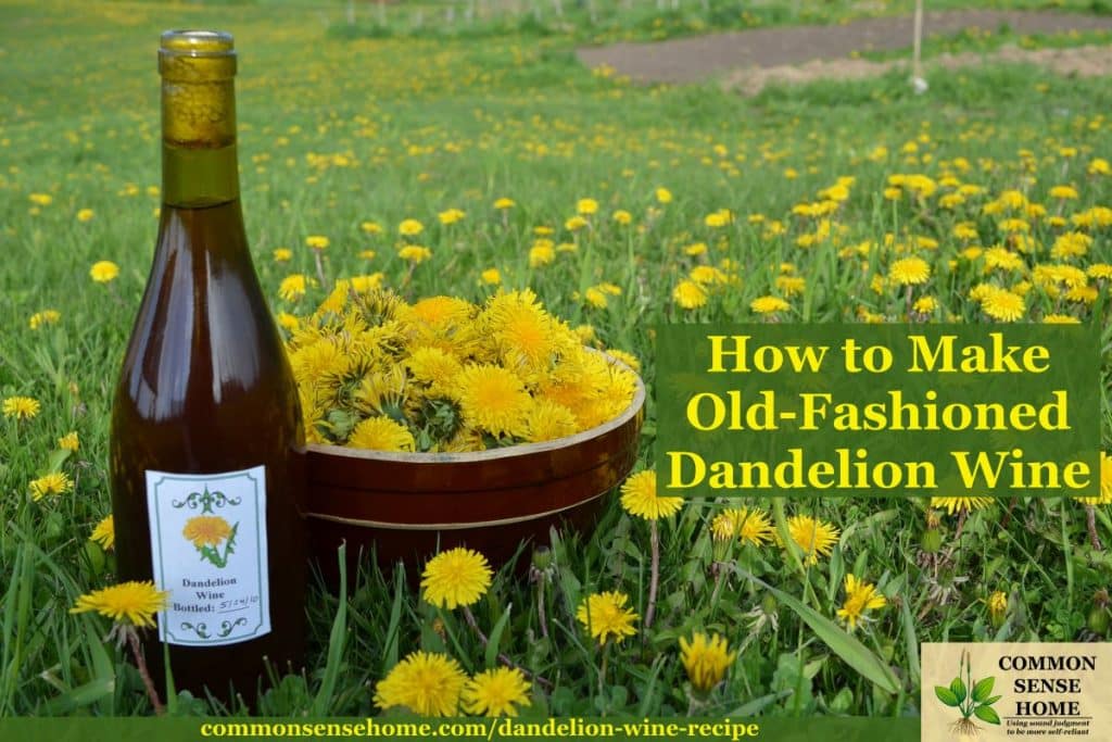 Easy Homemade Dandelion Wine Recipe 2023 AtOnce