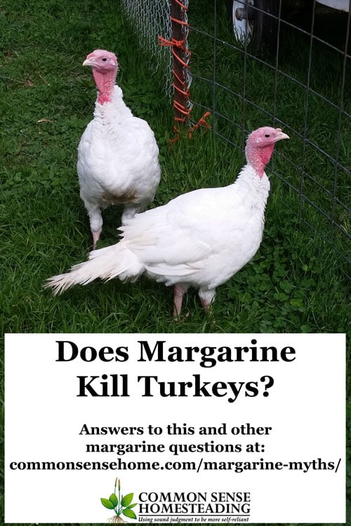 Margarine myths or facts? Find out the truth about margarine killing turkeys, being one molecule away from plastic, having added colors and more.