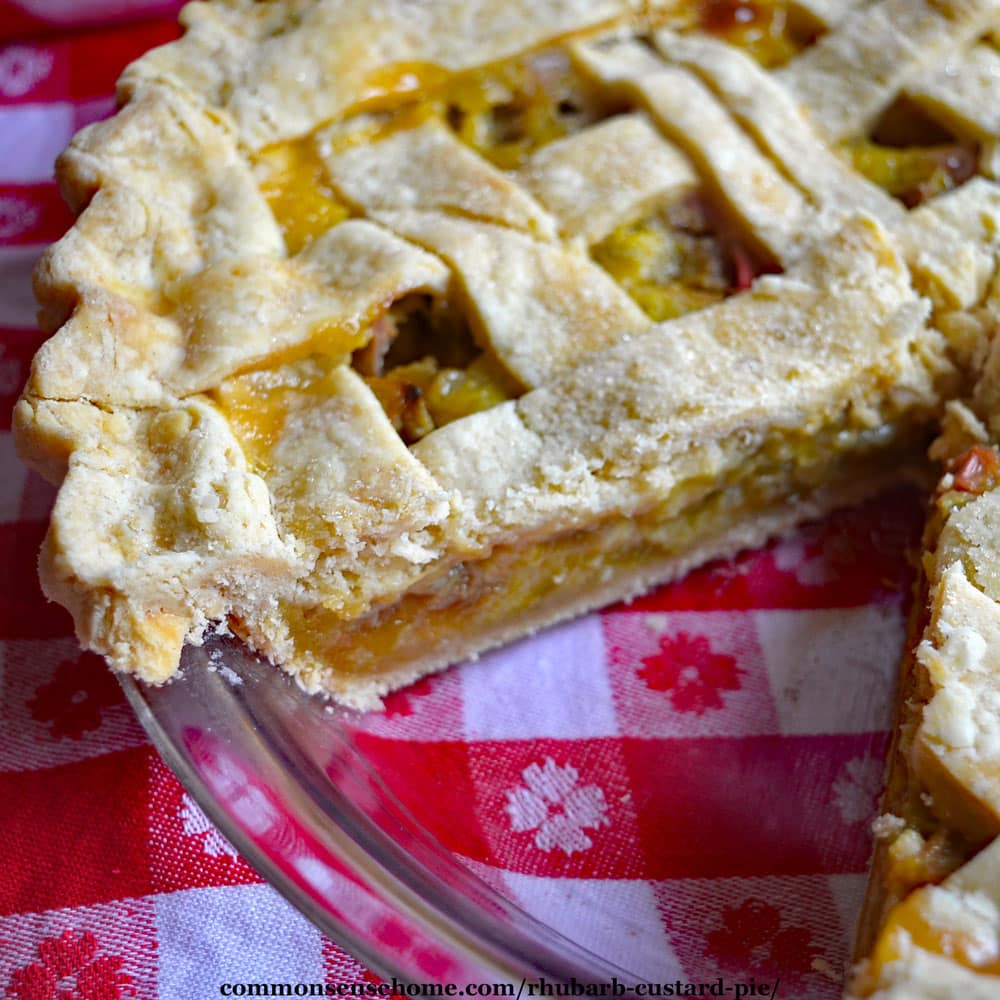 homemade rhubarb custard pie with a slice removed on a red and white tablecloth